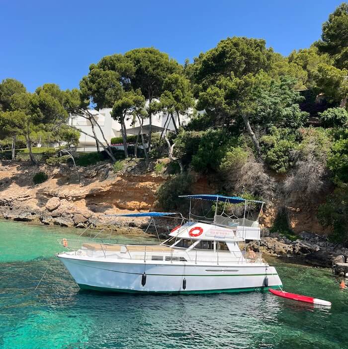 Diving into clear water from the back platform of the boat.